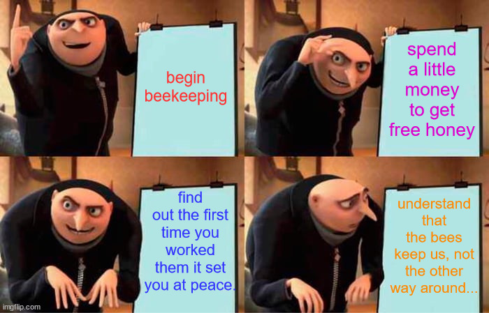 Gru's Plan Meme | begin beekeeping; spend a little money to get free honey; find out the first time you worked them it set you at peace. understand that the bees keep us, not the other way around... | image tagged in memes,gru's plan | made w/ Imgflip meme maker
