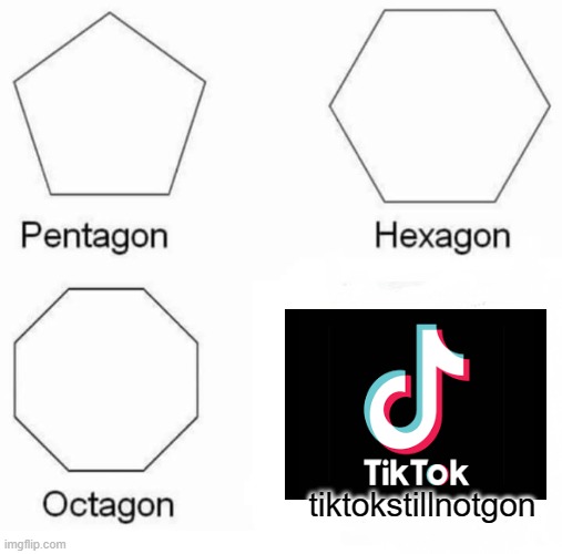 Pentagon Hexagon Octagon Meme | tiktokstillnotgon | image tagged in memes,pentagon hexagon octagon | made w/ Imgflip meme maker
