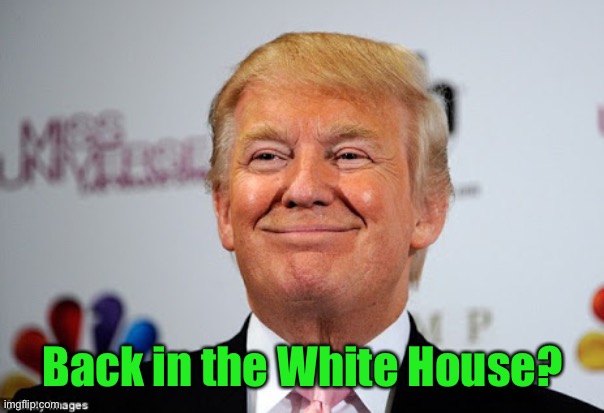 Donald trump approves | Back in the White House? | image tagged in donald trump approves | made w/ Imgflip meme maker