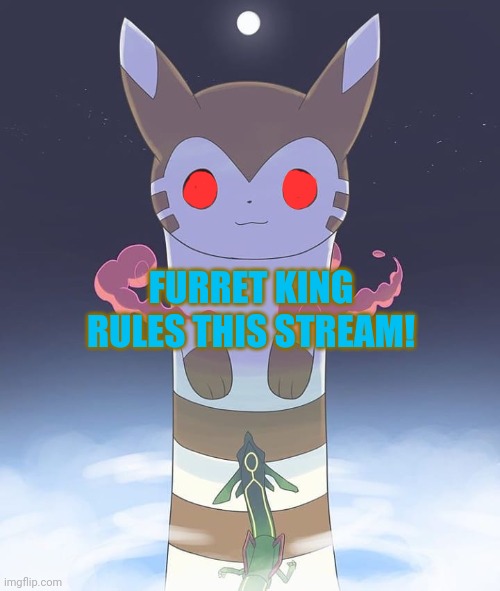 Furret is king! | FURRET KING RULES THIS STREAM! | image tagged in giant furret,furret,you must respect the furret king,pokemon | made w/ Imgflip meme maker