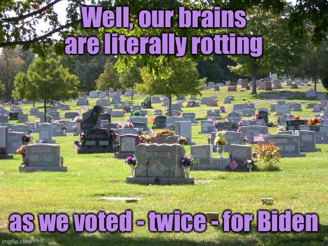 cemetery | Well, our brains are literally rotting as we voted - twice - for Biden | image tagged in cemetery | made w/ Imgflip meme maker