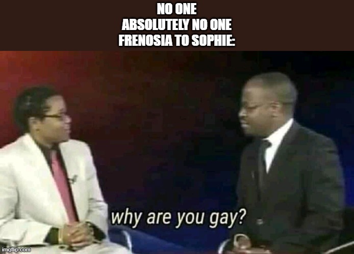 Why are you gay? | NO ONE
ABSOLUTELY NO ONE
FRENOSIA TO SOPHIE: | image tagged in why are you gay | made w/ Imgflip meme maker