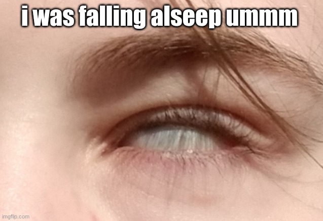 i was falling alseep ummm | made w/ Imgflip meme maker