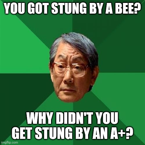 High Expectations Asian Father | YOU GOT STUNG BY A BEE? WHY DIDN'T YOU GET STUNG BY AN A+? | image tagged in memes,high expectations asian father | made w/ Imgflip meme maker