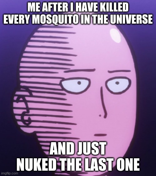 Bugs what can you say | ME AFTER I HAVE KILLED EVERY MOSQUITO IN THE UNIVERSE; AND JUST NUKED THE LAST ONE | image tagged in one punch man | made w/ Imgflip meme maker