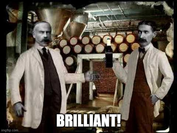 Brilliant! | BRILLIANT! | image tagged in brilliant | made w/ Imgflip meme maker