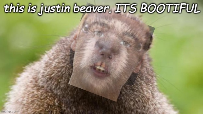Mr Beaver | this is justin beaver. ITS BOOTIFUL | image tagged in mr beaver | made w/ Imgflip meme maker