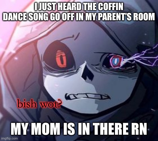 what | I JUST HEARD THE COFFIN DANCE SONG GO OFF IN MY PARENT’S ROOM; MY MOM IS IN THERE RN | image tagged in dust sans bish wot | made w/ Imgflip meme maker