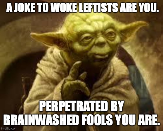 yoda | A JOKE TO WOKE LEFTISTS ARE YOU. PERPETRATED BY BRAINWASHED FOOLS YOU ARE. | image tagged in yoda | made w/ Imgflip meme maker