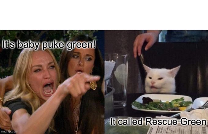 Woman Yelling At Cat Meme | It’s baby puke green! It called Rescue Green | image tagged in memes,woman yelling at cat | made w/ Imgflip meme maker