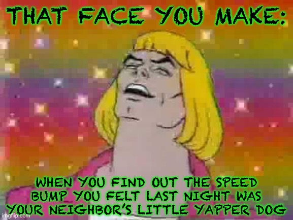 He man | THAT FACE YOU MAKE:; WHEN YOU FIND OUT THE SPEED BUMP YOU FELT LAST NIGHT WAS YOUR NEIGHBOR’S LITTLE YAPPER DOG | image tagged in he man,neighbors,pomeranian,chihuahua,dark humor,funny memes | made w/ Imgflip meme maker