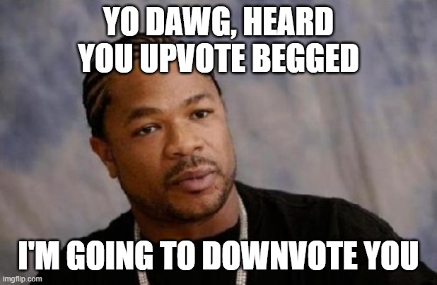 random filler |  YO DAWG, HEARD YOU UPVOTE BEGGED; I'M GOING TO DOWNVOTE YOU | image tagged in memes,serious xzibit | made w/ Imgflip meme maker