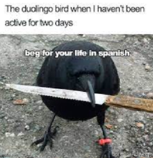 BEG | image tagged in memes,blank white template | made w/ Imgflip meme maker