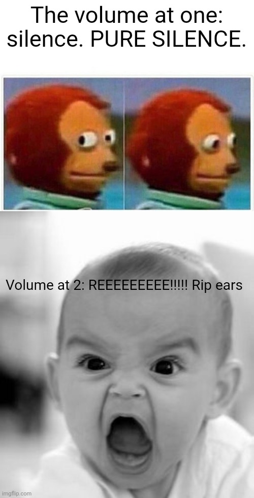 Another relatable meme | The volume at one: silence. PURE SILENCE. Volume at 2: REEEEEEEEE!!!!! Rip ears | image tagged in memes,monkey puppet,angry baby,funny,relatable | made w/ Imgflip meme maker