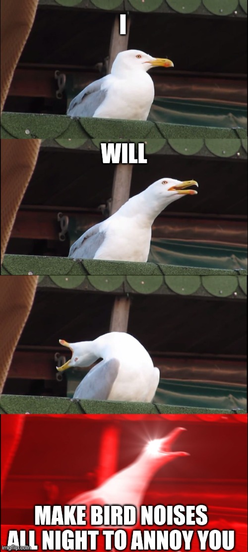 Why seagulls are annoying | I; WILL; MAKE BIRD NOISES ALL NIGHT TO ANNOY YOU | image tagged in memes,inhaling seagull | made w/ Imgflip meme maker