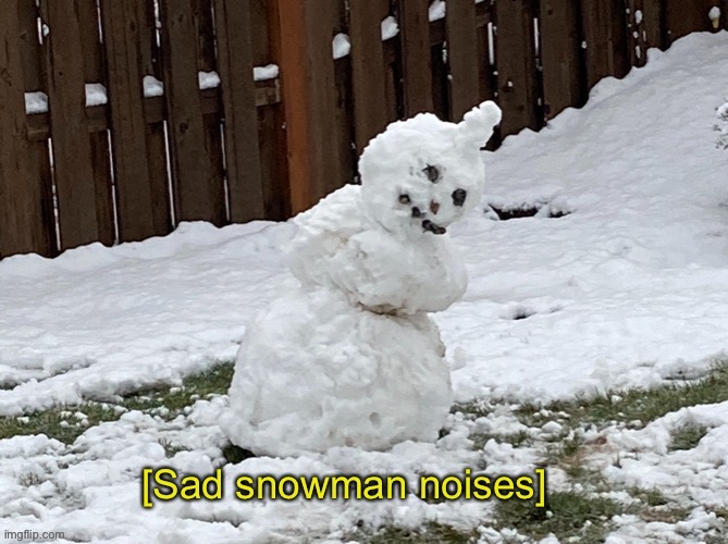 Sad snowman noises | image tagged in sad snowman noises | made w/ Imgflip meme maker
