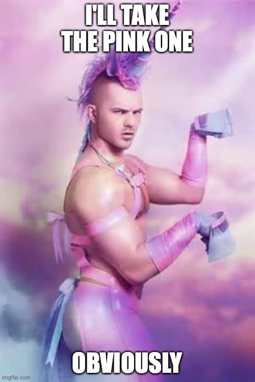 Gay Unicorn | I'LL TAKE THE PINK ONE OBVIOUSLY | image tagged in gay unicorn | made w/ Imgflip meme maker