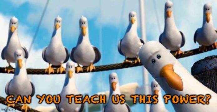 Nemo Birds | CAN YOU TEACH US THIS POWER? | image tagged in nemo birds | made w/ Imgflip meme maker