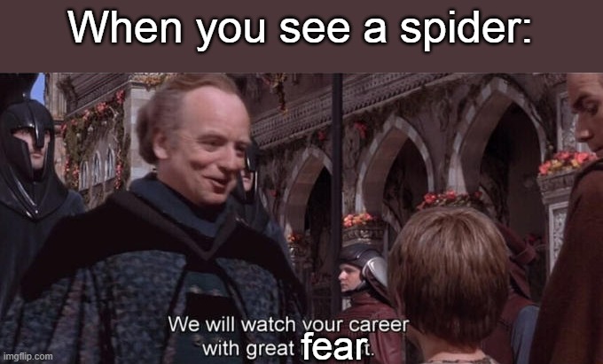 We will watch your career with great interest | When you see a spider:; fear | image tagged in we will watch your career with great interest,memes,fear | made w/ Imgflip meme maker