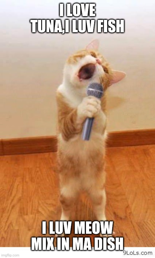 Cat Singer | I LOVE TUNA,I LUV FISH; I LUV MEOW MIX IN MA DISH | image tagged in cat singer | made w/ Imgflip meme maker