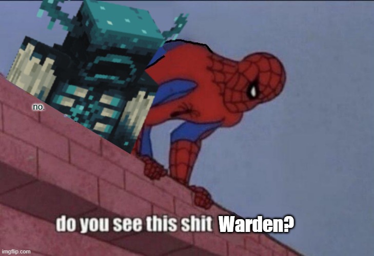 I'm being held at gunpoint by a Warden | no. | image tagged in do you see this shit warden | made w/ Imgflip meme maker