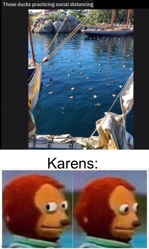 Karens: | image tagged in memes,monkey puppet | made w/ Imgflip meme maker