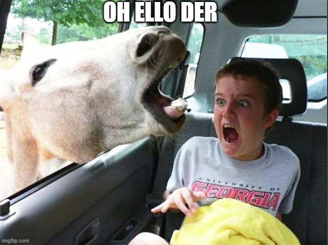 Child vs Donkey | OH ELLO DER | image tagged in child vs donkey | made w/ Imgflip meme maker