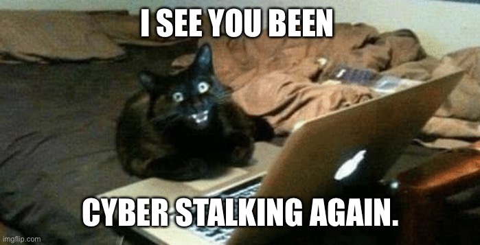 cat scream at laptop | I SEE YOU BEEN; CYBER STALKING AGAIN. | image tagged in cat scream at laptop | made w/ Imgflip meme maker