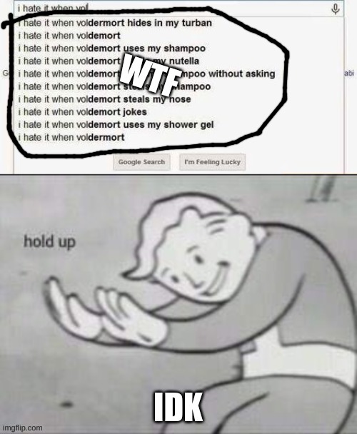 WTF | image tagged in fallout hold up,google search | made w/ Imgflip meme maker