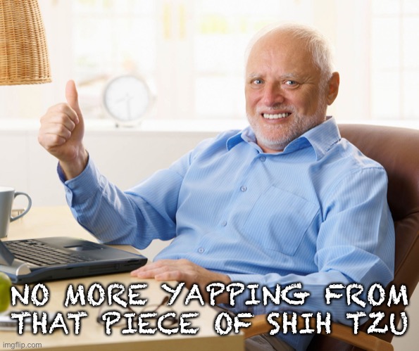 Hide the pain harold | NO MORE YAPPING FROM THAT PIECE OF SHIH TZU | image tagged in hide the pain harold | made w/ Imgflip meme maker