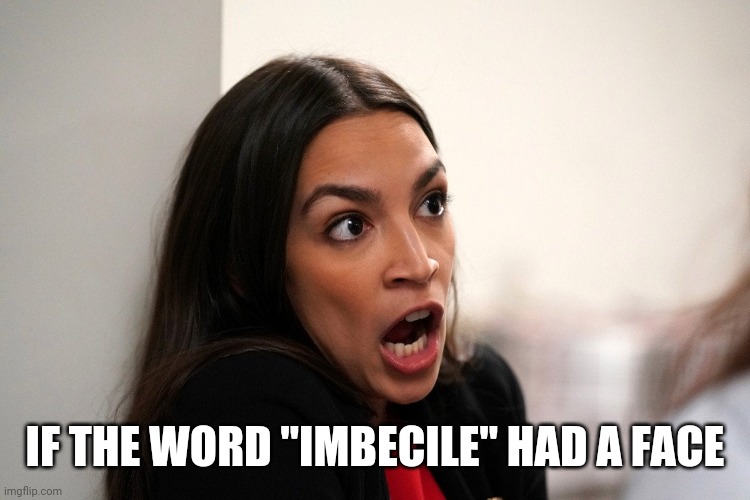 AOC | IF THE WORD "IMBECILE" HAD A FACE | image tagged in aoc,imbecile | made w/ Imgflip meme maker