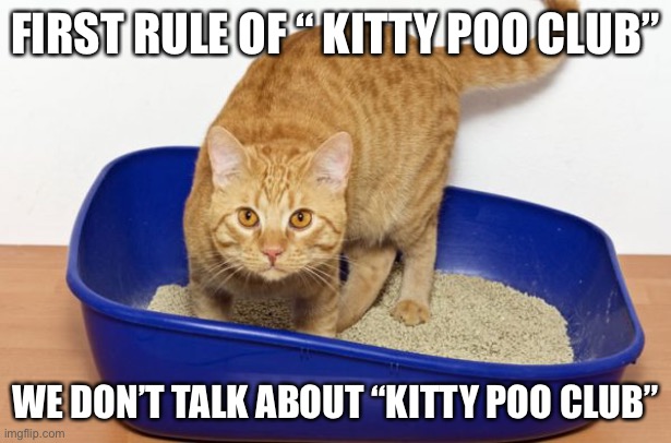 Tyler Turdbin | FIRST RULE OF “ KITTY POO CLUB”; WE DON’T TALK ABOUT “KITTY POO CLUB” | image tagged in funny,cats | made w/ Imgflip meme maker