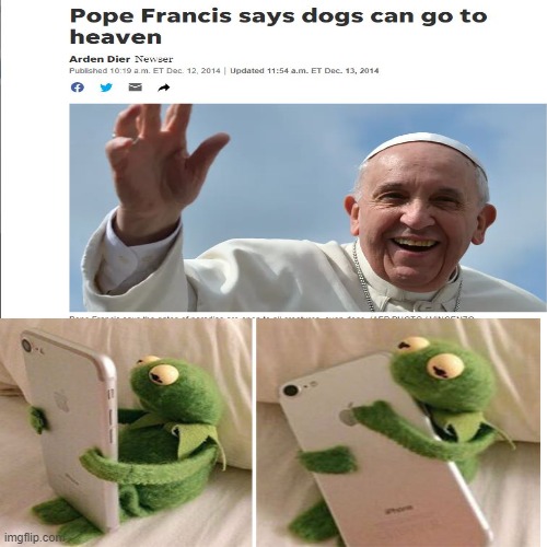 dogs can go to heaven | image tagged in wholesome | made w/ Imgflip meme maker