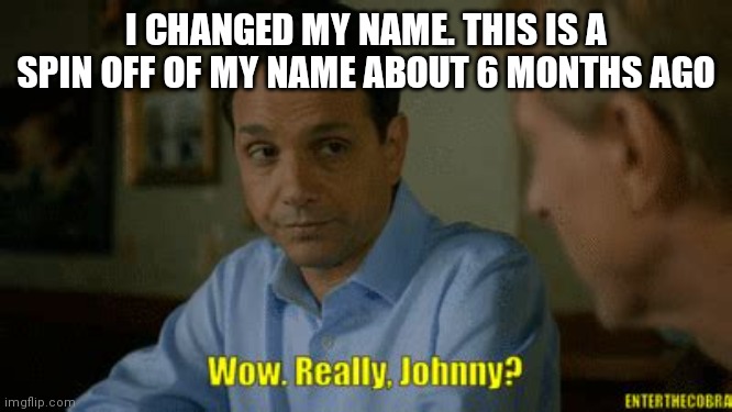 Really johnny? | I CHANGED MY NAME. THIS IS A SPIN OFF OF MY NAME ABOUT 6 MONTHS AGO | image tagged in really johnny | made w/ Imgflip meme maker