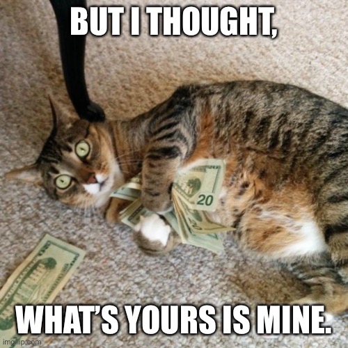 money cat | BUT I THOUGHT, WHAT’S YOURS IS MINE. | image tagged in money cat | made w/ Imgflip meme maker