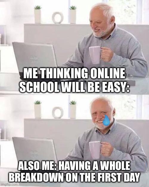 true story tho- | ME THINKING ONLINE SCHOOL WILL BE EASY:; ALSO ME: HAVING A WHOLE BREAKDOWN ON THE FIRST DAY | image tagged in memes,hide the pain harold | made w/ Imgflip meme maker