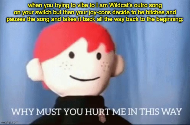 I have to replace my joy-cons asap- | when you trying to vibe to I am Wildcat's outro song on your switch but then your joy-cons decide to be bitches and pauses the song and takes it back all the way back to the beginning: | image tagged in why must you hurt me in this way | made w/ Imgflip meme maker