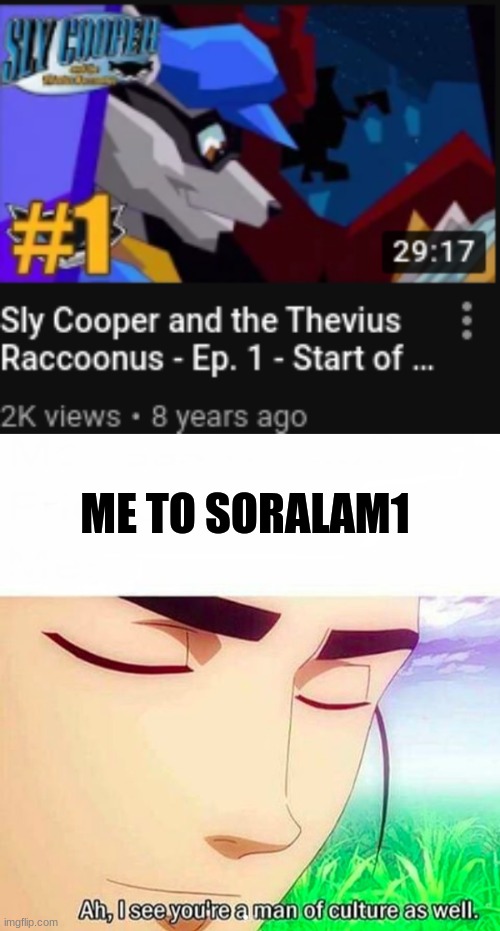 #Soraalam's early videos. I was shocked when I found this. | ME TO SORALAM1 | image tagged in ah i see you are a man of culture as well,sly cooper | made w/ Imgflip meme maker