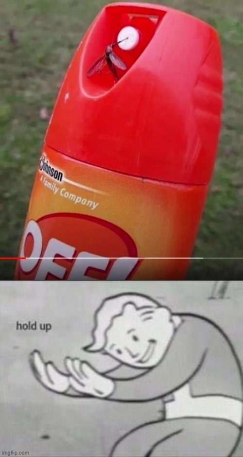 When the mosquito starts drinking the OFF spray! | image tagged in fallout hold up,mosquito | made w/ Imgflip meme maker