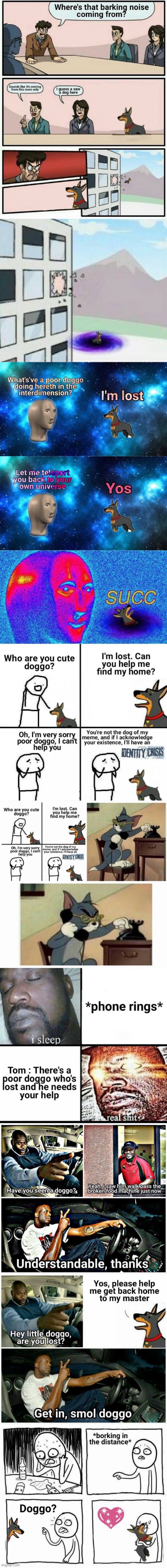 Lots of crossovers were made to get this doggo home | image tagged in dog,fun,crossover | made w/ Imgflip meme maker