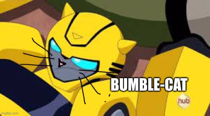 Bumblecat | BUMBLE-CAT | image tagged in bumblecat,transformers animated,tfa,bumblebee | made w/ Imgflip meme maker