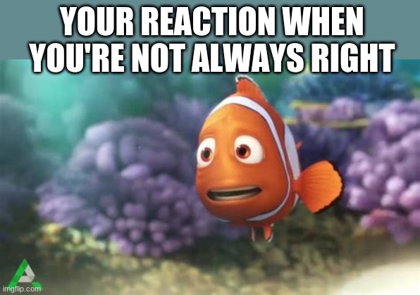 not always right | YOUR REACTION WHEN YOU'RE NOT ALWAYS RIGHT | image tagged in speechless marlin,confused,not right,self esteem,wrong,right | made w/ Imgflip meme maker
