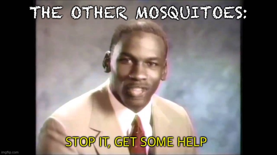 Stop it get some help | THE OTHER MOSQUITOES: STOP IT, GET SOME HELP | image tagged in stop it get some help | made w/ Imgflip meme maker