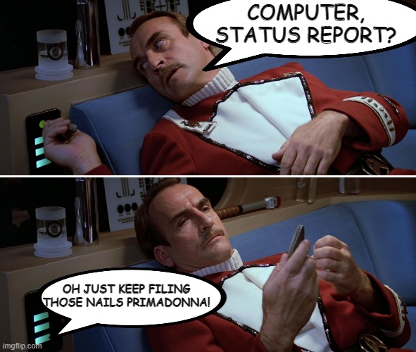 Computer Got Sass | COMPUTER, STATUS REPORT? OH JUST KEEP FILING THOSE NAILS PRIMADONNA! | image tagged in star trek iii captain styles | made w/ Imgflip meme maker
