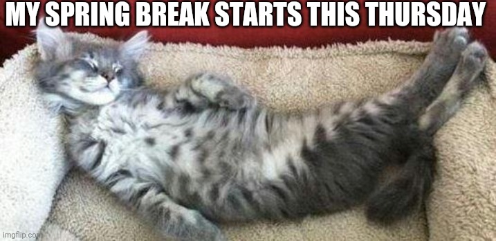 relaxed cat | MY SPRING BREAK STARTS THIS THURSDAY | image tagged in relaxed cat | made w/ Imgflip meme maker