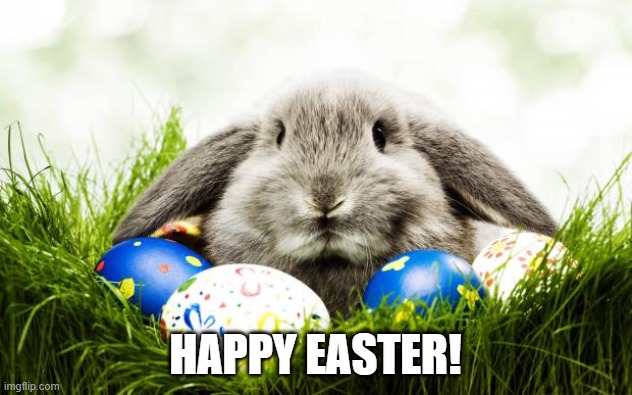 Easter bunny | HAPPY EASTER! | image tagged in easter bunny | made w/ Imgflip meme maker