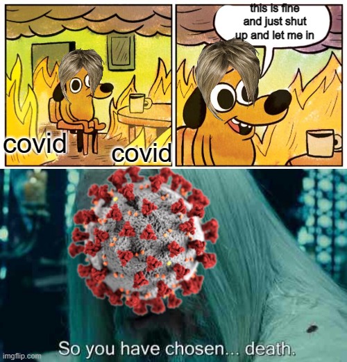 Karen do be fine | this is fine and just shut up and let me in; covid; covid | image tagged in memes,this is fine,so you have chosen death,covid-19,karens | made w/ Imgflip meme maker