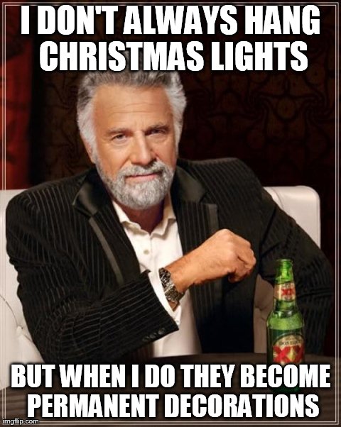 The Christmas tree comes down around Groundhog's Day or so. | I DON'T ALWAYS HANG CHRISTMAS LIGHTS BUT WHEN I DO THEY BECOME PERMANENT DECORATIONS | image tagged in memes,the most interesting man in the world,funny,christmas | made w/ Imgflip meme maker