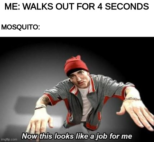 Now this looks like a job for me | ME: WALKS OUT FOR 4 SECONDS; MOSQUITO: | image tagged in now this looks like a job for me | made w/ Imgflip meme maker