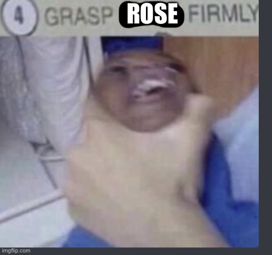 Grasp child firmly | ROSE | image tagged in grasp child firmly | made w/ Imgflip meme maker